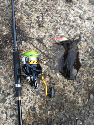 短時間エギング