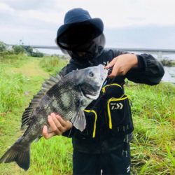 仁淀川 チニング