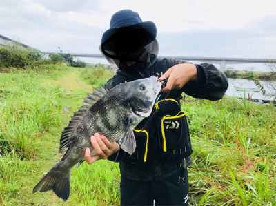 仁淀川 チニング