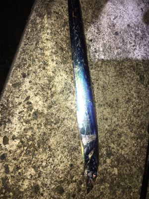 ひっさびさタチウオ釣行