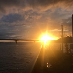 水潮はシーバス！