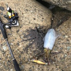 仕事終わりに。