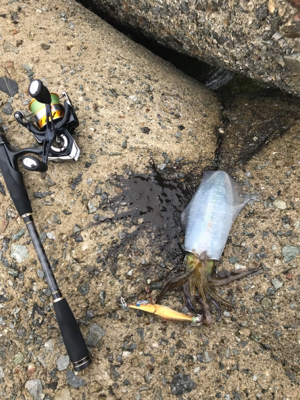 仕事終わりに。