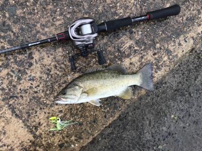 3日連続の淀川！