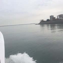 heyheyshipさん利用しました