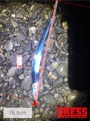 ショアジギングで