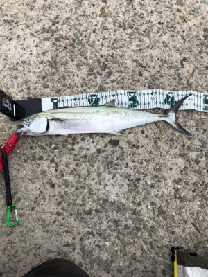 この後時期。いつもなら…