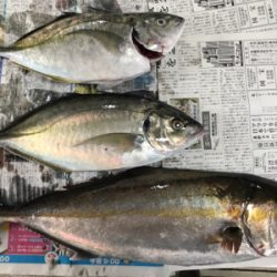 田尻の釣堀で半日コース