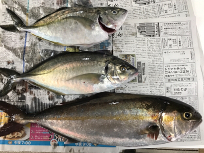 田尻の釣堀で半日コース