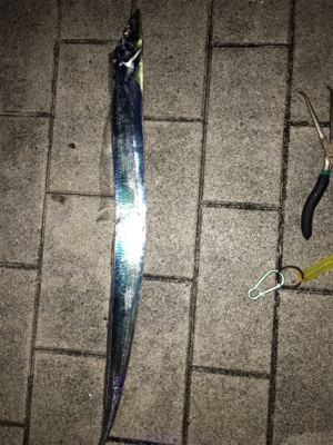 なんとか釣れた