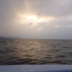 初イカメタル釣行