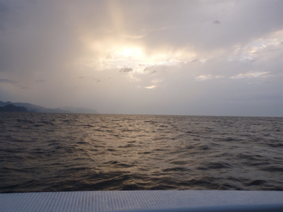 初イカメタル釣行