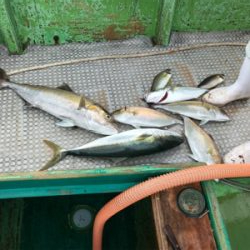 孝洋丸 落とし込み