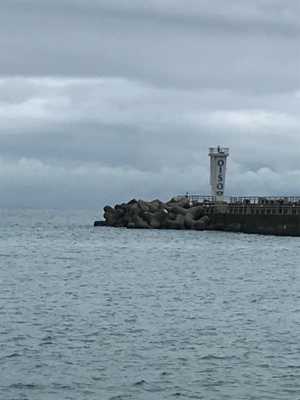 大磯港でサビキ釣り