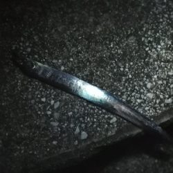 子供と一緒にジグサビキ