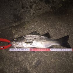 仕事帰りに1時間だけ