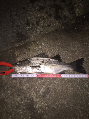 仕事帰りに1時間だけ