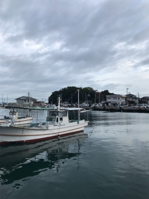 早朝エギング、今期二回目