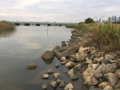 ハゼ釣り面白い！