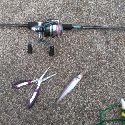 久し振りの上瀬