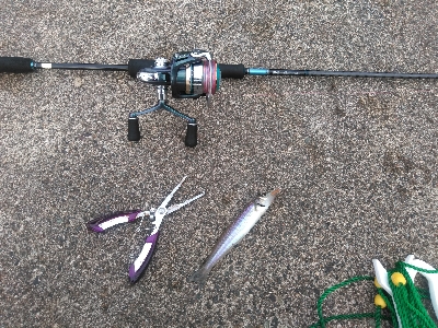 久し振りの上瀬