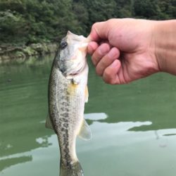 バス釣り