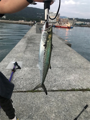 朝まづめ 活性高