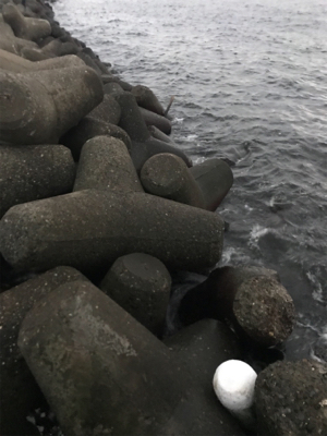 久しぶりフラップでの釣果