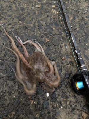 親父たちの釣行第11弾