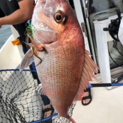 タイラバ勝利！