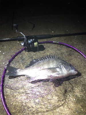 ナイトチニング