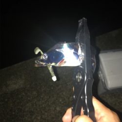 和歌山あちこち(笑)