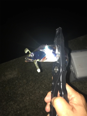 和歌山あちこち(笑)