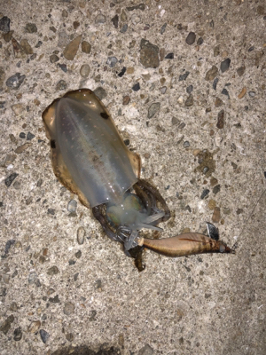 うーん、なかなか