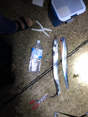 時合短時間‼︎