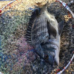 朝は全くアタリなし！