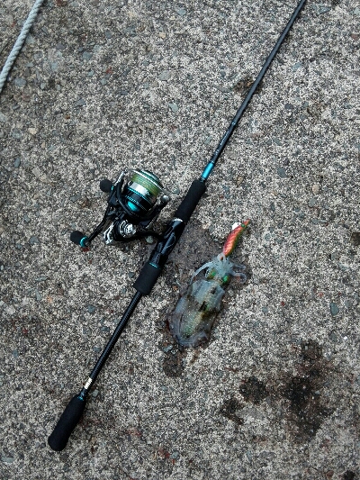 朝から絶好調！！