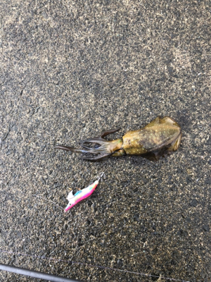 はじめての爆釣