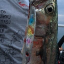 釣り公園五目釣り