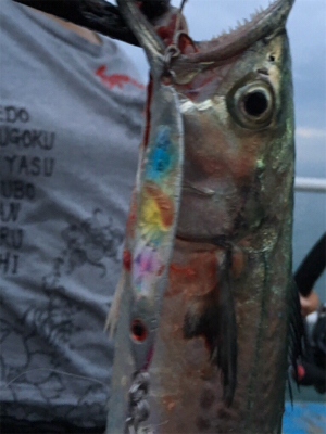 釣り公園五目釣り