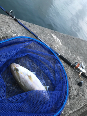 早朝ショアジギングでまさかの・・・