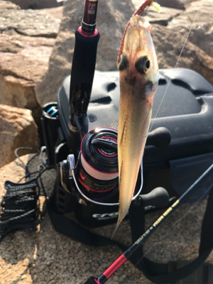 キス渋い…(＞＜)