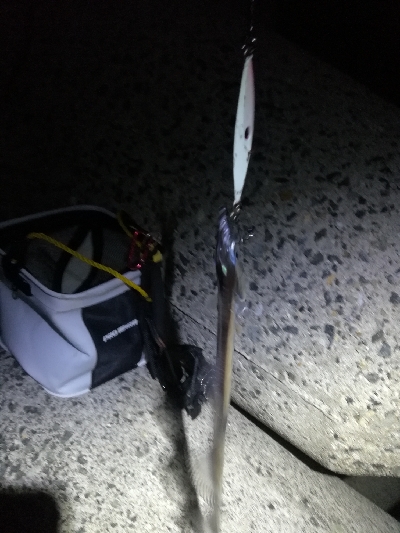 グロージグとケミホタルジグ