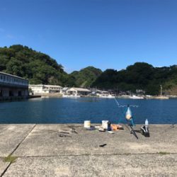 ファミリーサビキ