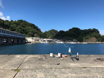 ファミリーサビキ