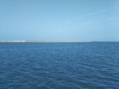 やっぱエサかぁ…