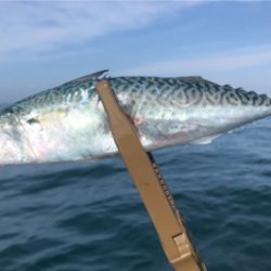 葉山ボードチャレンジ