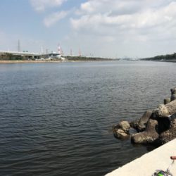 久しぶりのポイント