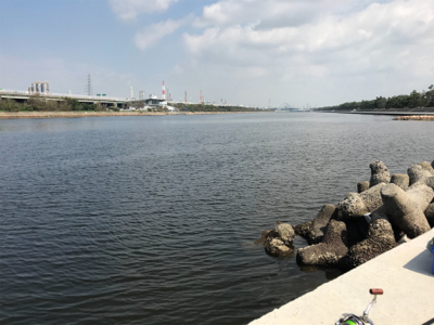 久しぶりのポイント