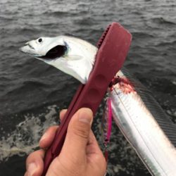 夕まずめ再アタック